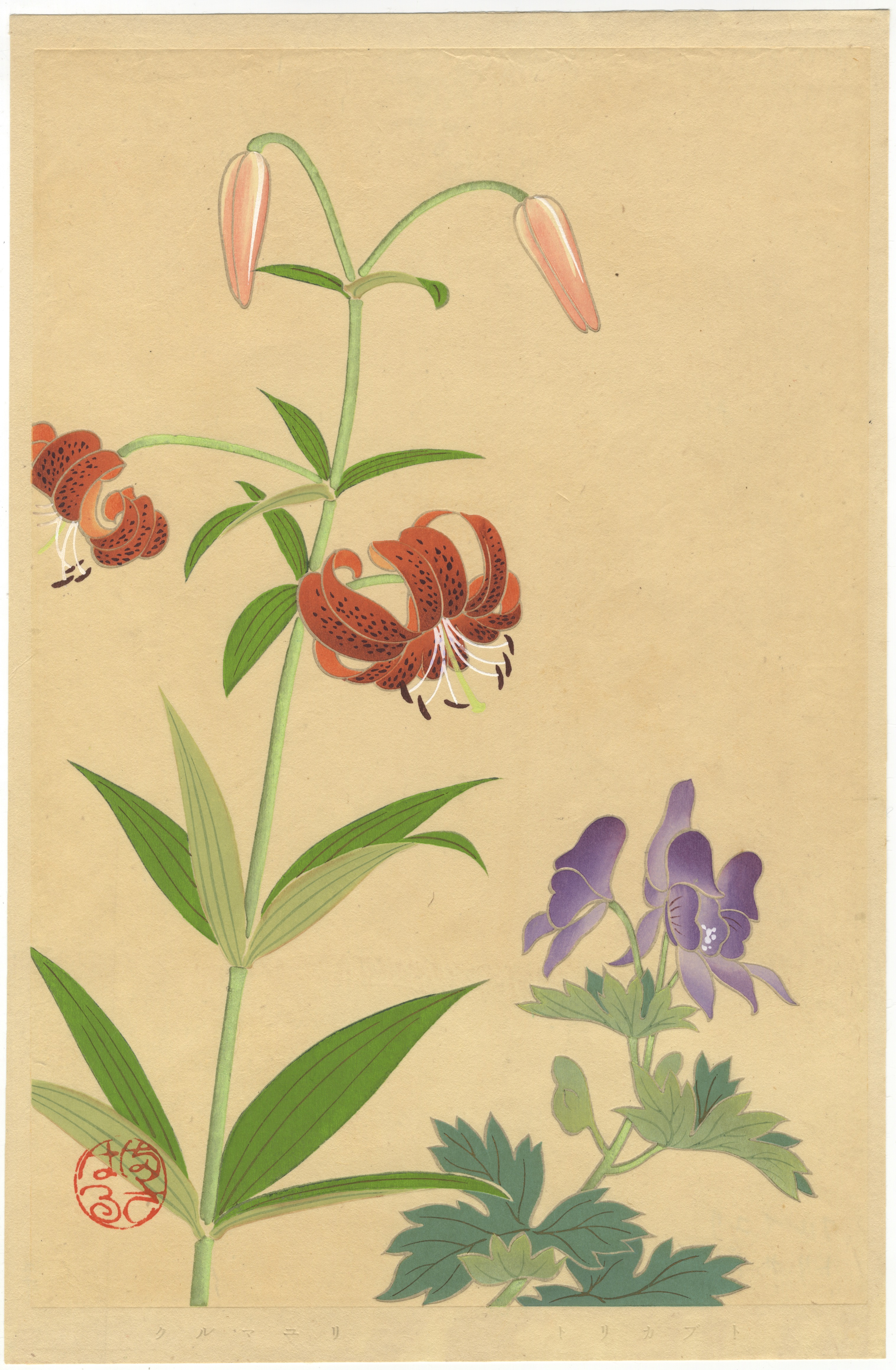 Inoue Masaharu, Alpine Plants, Japanese Woodblock Print - Image 4 of 5