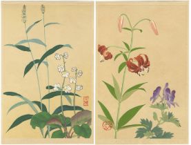 Inoue Masaharu, Alpine Plants, Japanese Woodblock Print