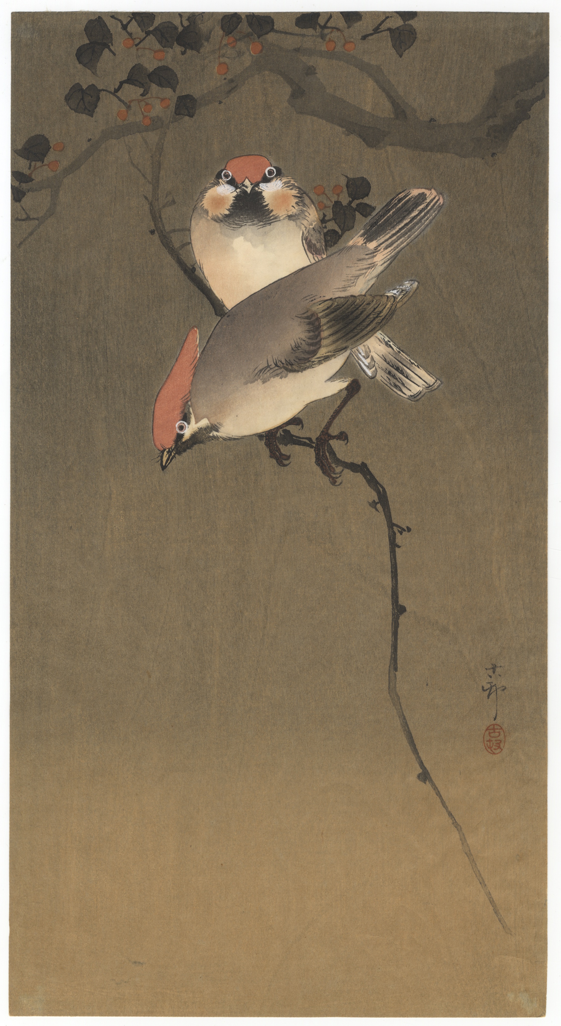 Koson Ohara, Waxwings, Japanese Woodblock Print