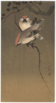 Koson Ohara, Waxwings, Japanese Woodblock Print