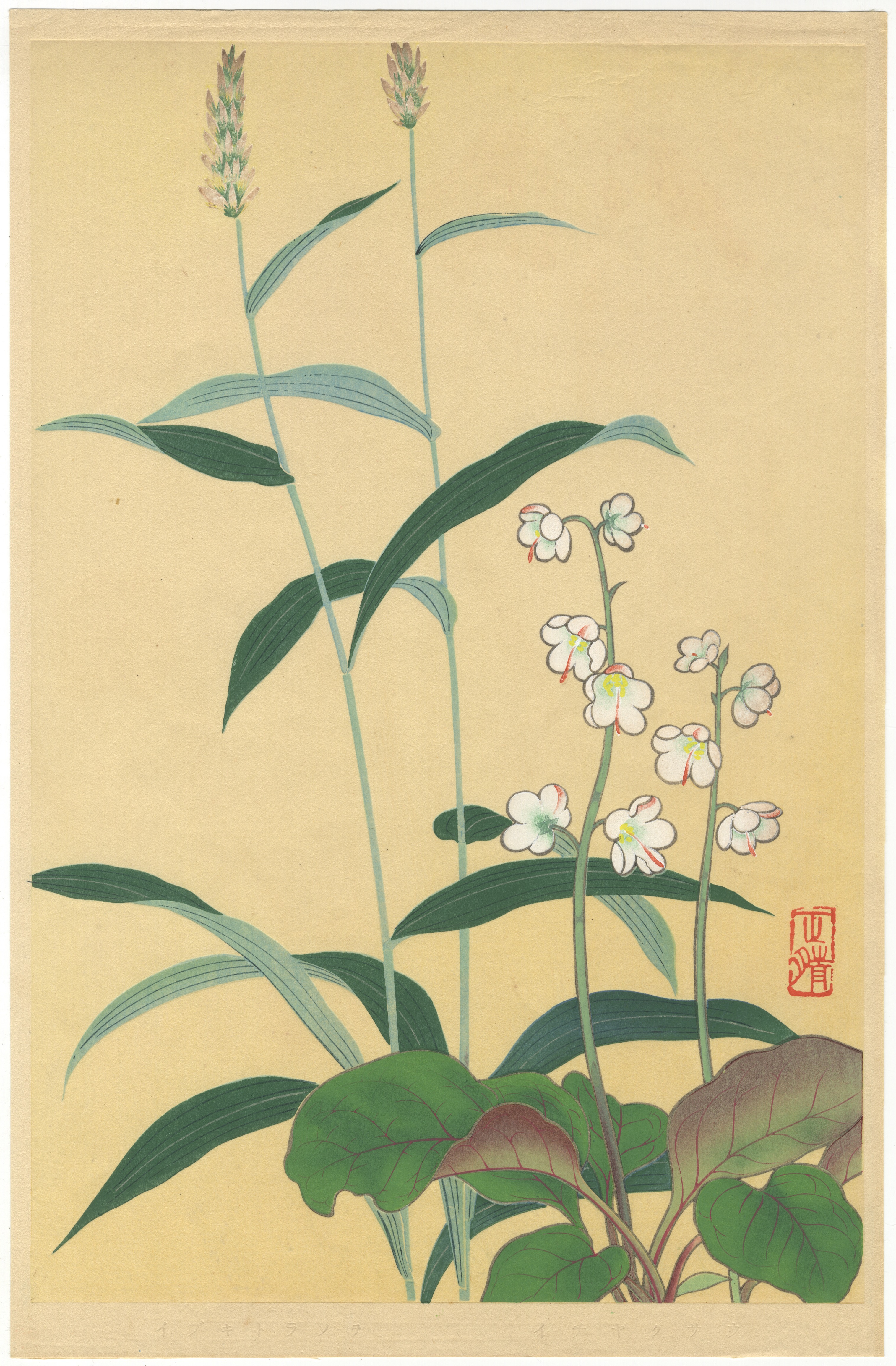 Inoue Masaharu, Alpine Plants, Japanese Woodblock Print - Image 2 of 5