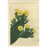Shodo Kawarazaki, Cactus, Japanese Woodblock Print