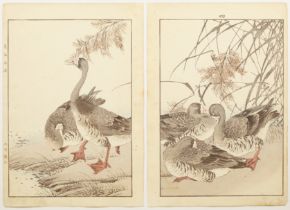Keinen Imao, Kacho-ga, Geese, Japanese Woodblock Print