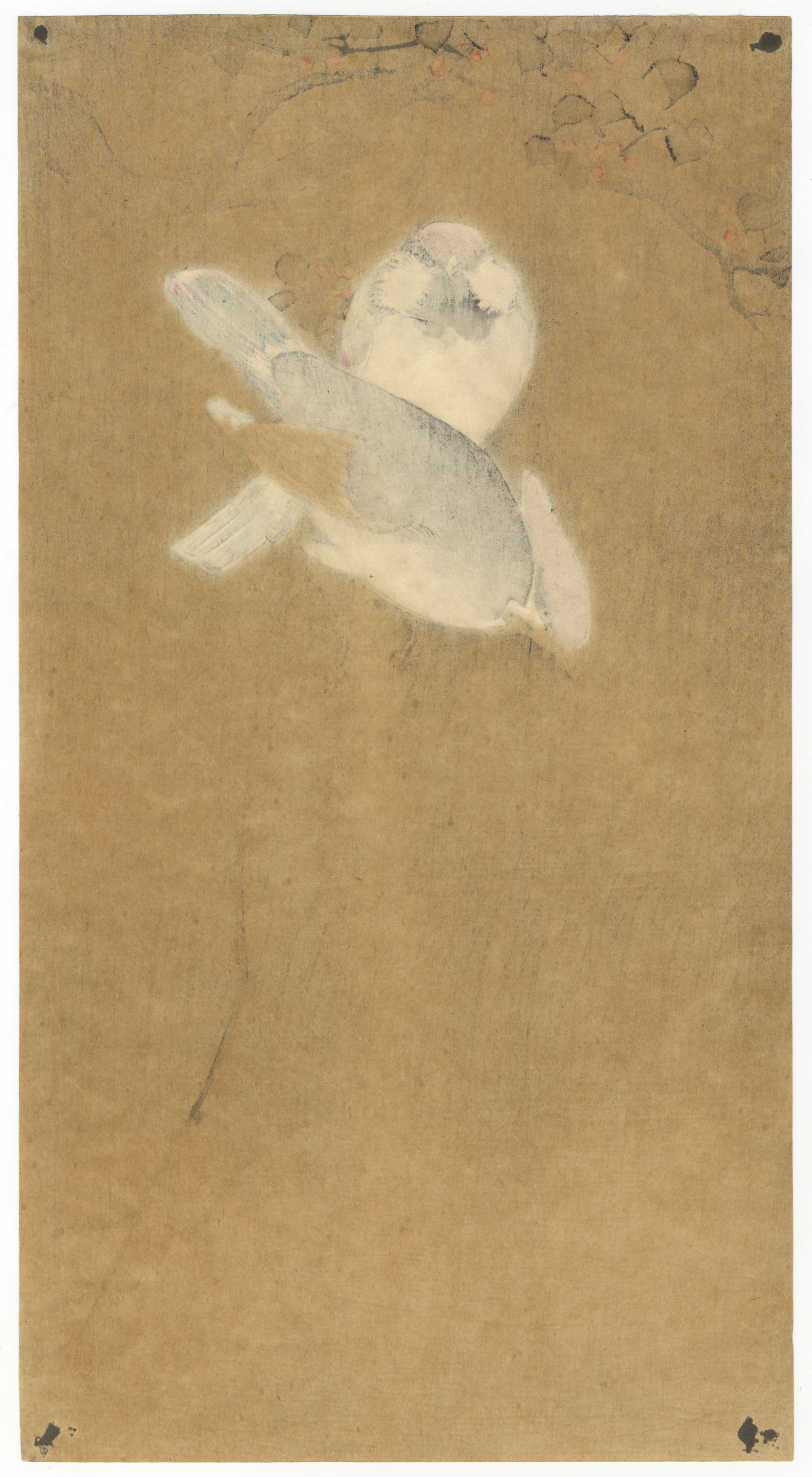 Koson Ohara, Waxwings, Japanese Woodblock Print - Bild 2 aus 2