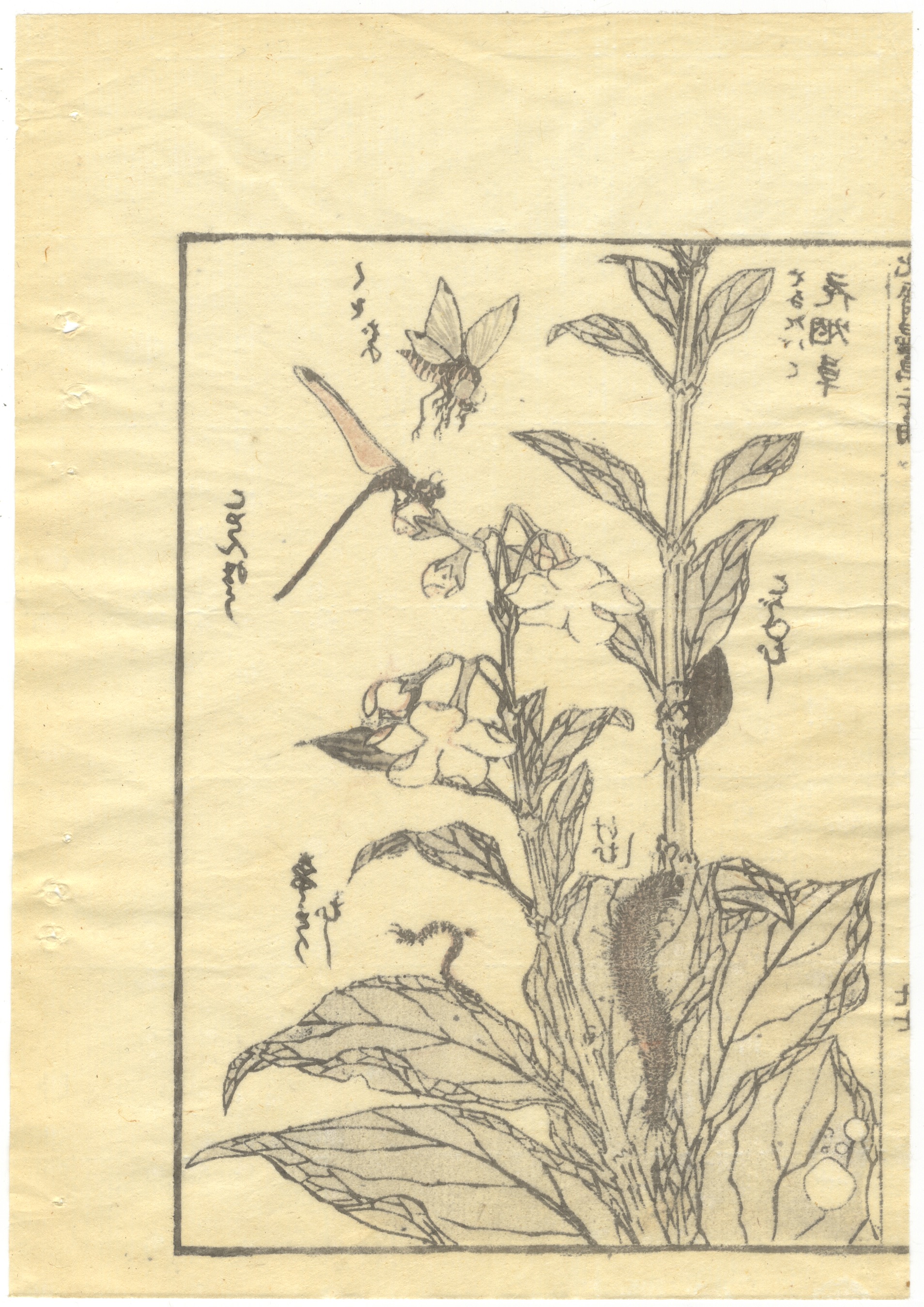 Hokusai, Set of 2, Manga, Japanese Woodblock Print - Image 5 of 5