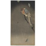 Koson Ohara, Bird and Spider, Japanese Woodblock Print