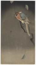 Koson Ohara, Bird and Spider, Japanese Woodblock Print