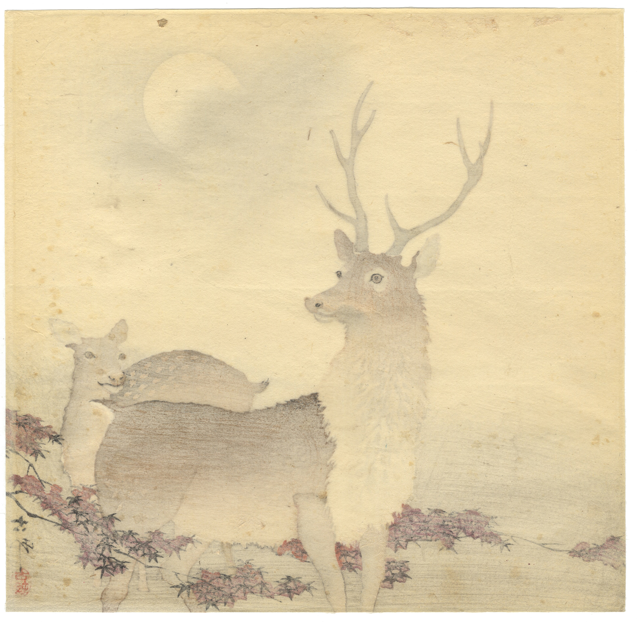 Koson Ohara, Deer, Maple Leaves, Japanese Woodblock Print - Image 2 of 2