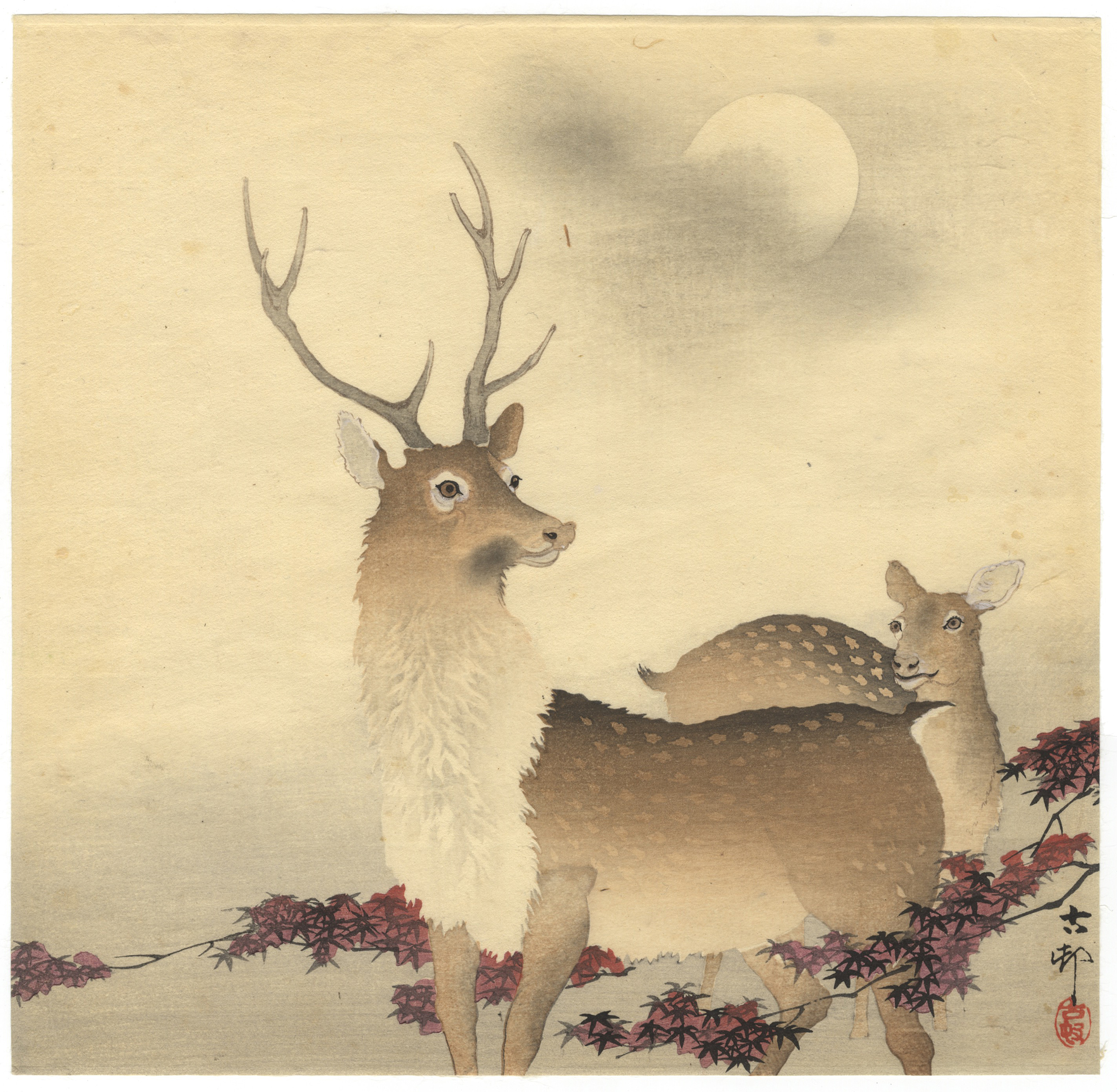 Koson Ohara, Deer, Maple Leaves, Japanese Woodblock Print