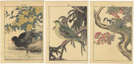 Imao Keinen, Kacho-ga, Set of 3, Japanese Woodblock Print