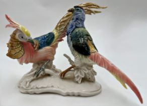 Karl Ens porcelain character group of Golden Pheasants, 22cn high