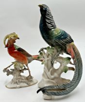 Karl Tutter for Hutschenreuther porcelain Golden Pheasant with Karl Ens porcelain Lady Amherst Phea