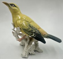 Karl Ens porcelain Indian Golden Oriole, 19cm high