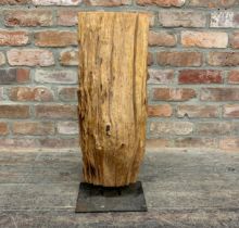 Large Drift Wood Sculpture On Iron Stand. H 67cm.