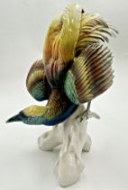 Karl Ens porcelain Bird Of Paradise, 27cm high