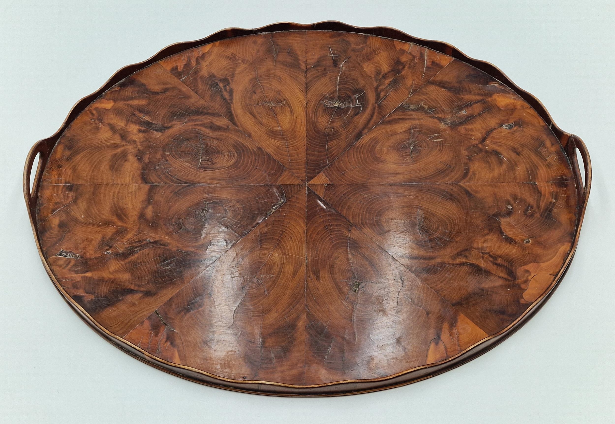 Good quality 19th century oyster veneered laburnum wood oval butlers tray with shaped gallery and - Bild 3 aus 3