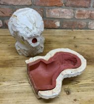 Plaster mould with rubber liner for casting a bronze bust of a beauty, 26cm high