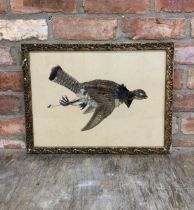 Rare early 20th century French feather hanging grouse picture, with painted beak and legs, 47 x