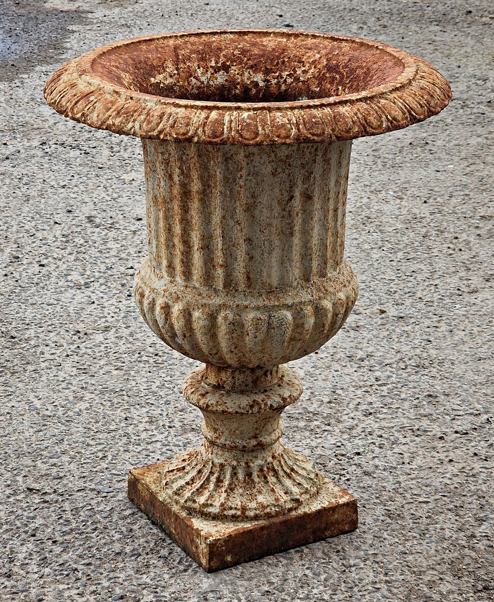 A cast iron Campana shaped garden urn with lobed bowl and flared egg and dart rim, H 46cm x W 38cm - Image 2 of 2