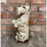 Victorian white 'Scotty Dog' painted cast iron door stop, H 46cm