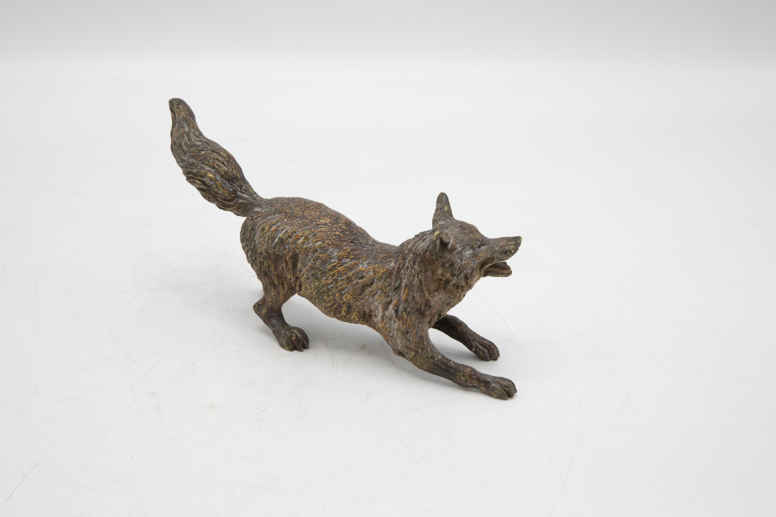 Probably by Bergman - Austrian cold painted bronze snarling fox, 19cm long - Image 3 of 3