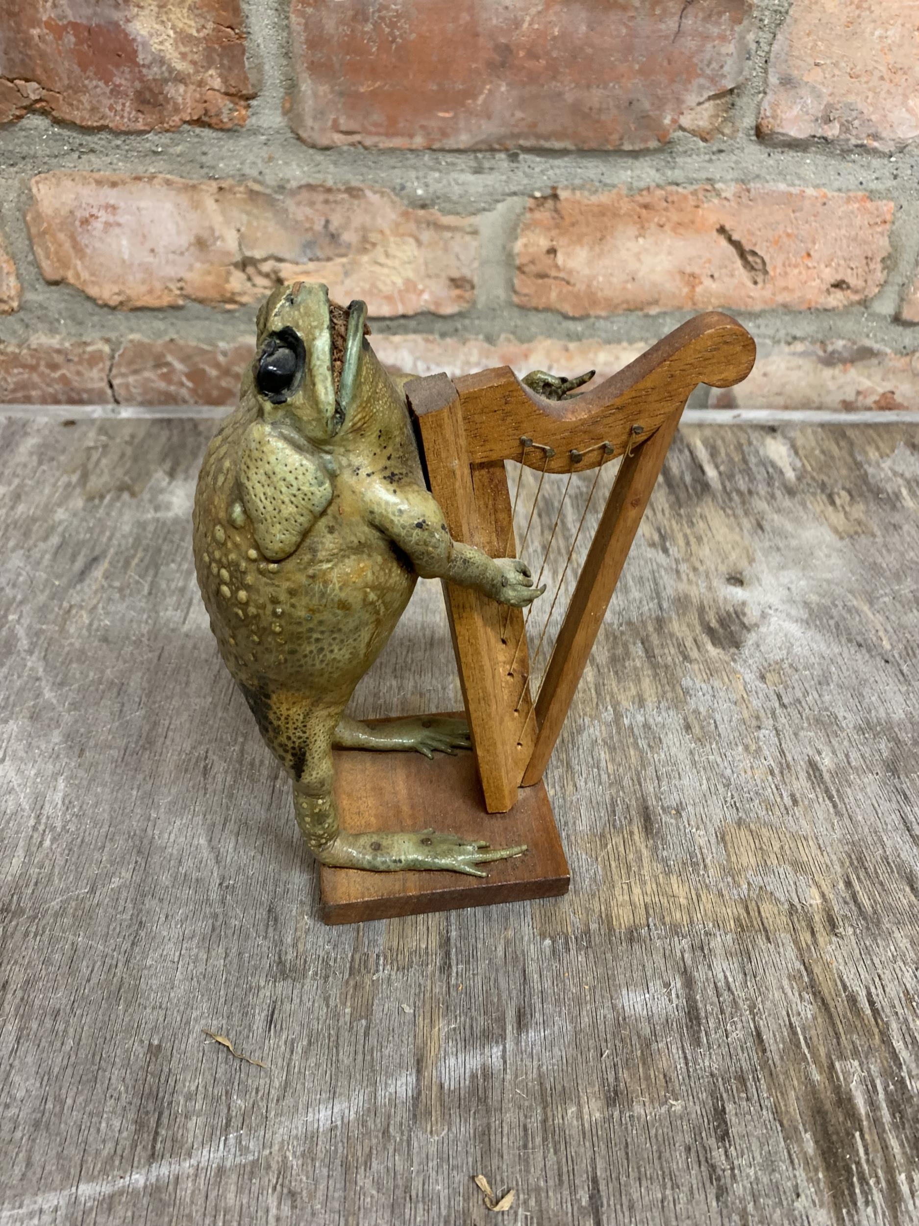 Taxidermy toad playing a harp H 20cm - Image 3 of 3