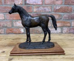 Susan Maclaurin 'The Arab' resin horse sculpture, mounted atop wooden base, H 28cm x W 30cm