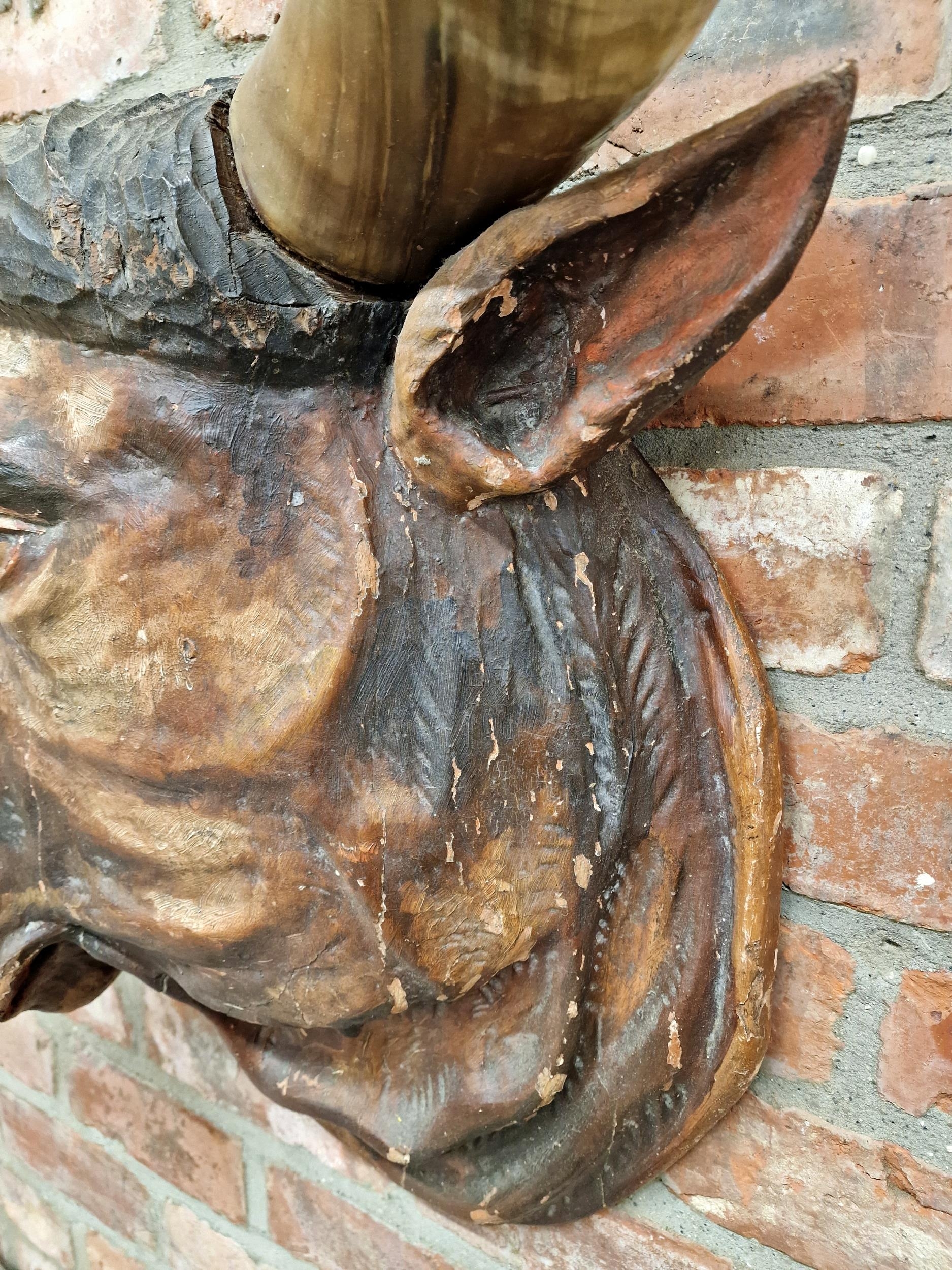 Impressive black forest Folk Art hand carved wooden bulls head with genuine horns, ex butchers - Image 4 of 6