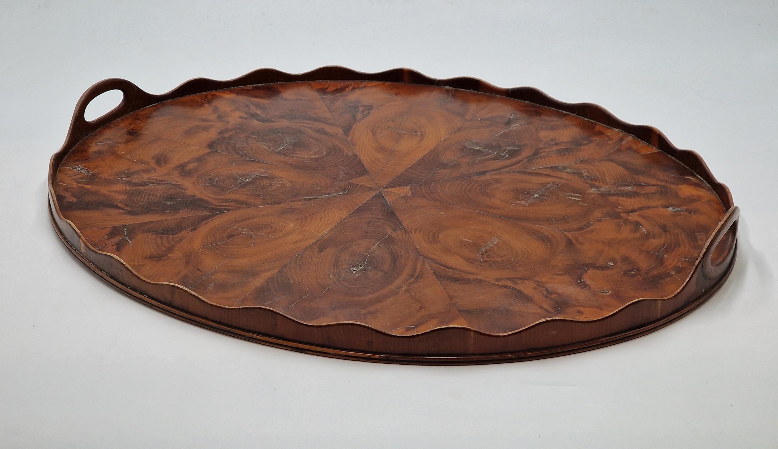 Good quality 19th century oyster veneered laburnum wood oval butlers tray with shaped gallery and