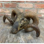 Macabre taxidermy rams head with glass eyes, W 40cm