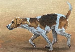John Silver (b. 1959) - Foxhound, unsigned, oil on canvas laid on board, 17 x 25cm, gilt frame