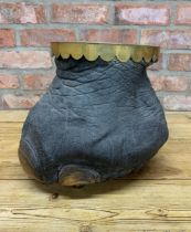 Taxidermy - antique elephant foot stool with brass top, inscribed 'shot by Lieutenant W.R.M Meredith