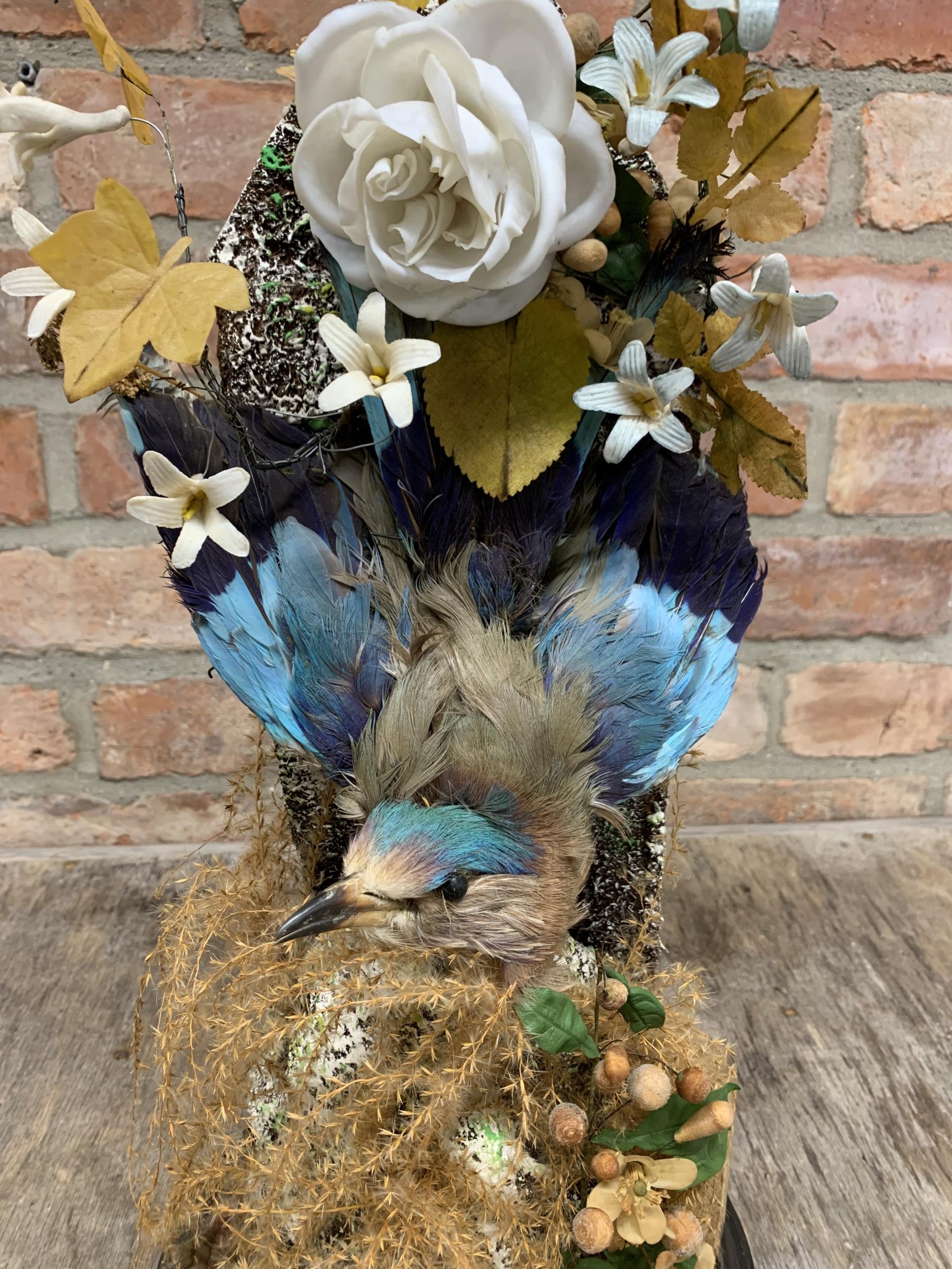 Victorian taxidermy Indian Roller bird amongst naturalistic foliage held within glass dome, H 55cm - Image 2 of 3