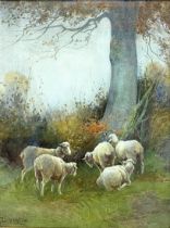 Dorothy Cox (1882-1940) - lambs gathering under a tree, signed, watercolour, 42 x 31cm, gilt frame