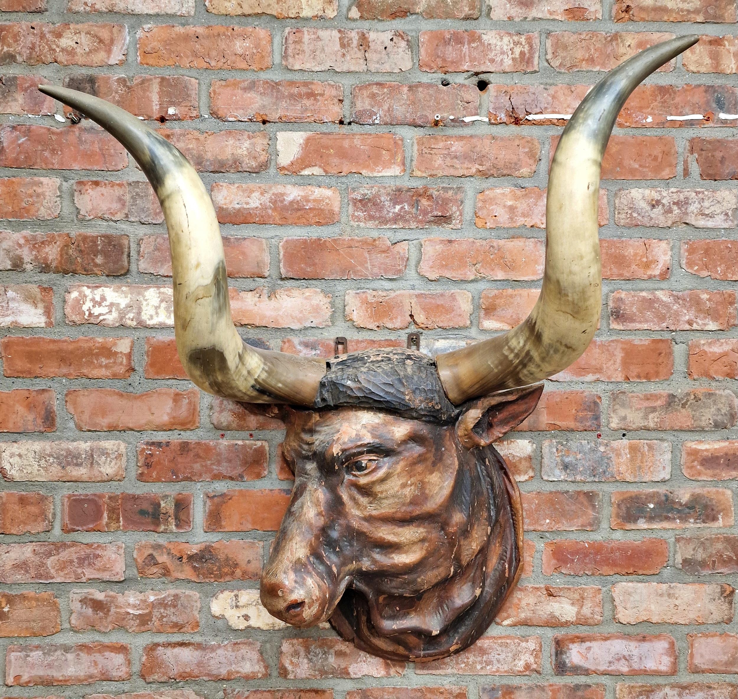Impressive black forest Folk Art hand carved wooden bulls head with genuine horns, ex butchers - Image 3 of 6