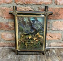 Pair of cased taxidermy blue tits amongst foliage housed within wooden Folk Art frame, W 32cm x H