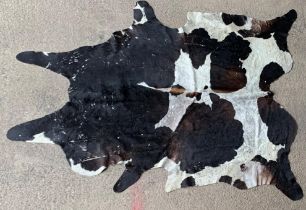 Large taxidermy cowhide rug, approx 250cm x 250cm