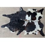 Large taxidermy cowhide rug, approx 250cm x 250cm