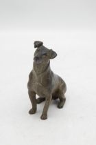 Probably by Bergman - Austrian cold painted bronze seated Jack Russell Terrier, marked '