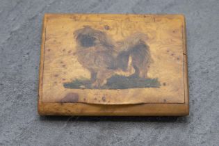 Victorian birds eye maple cigarette case with hand painted Pekinese dog to lid, 9cm x 7cm