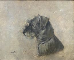 Early 20th century school - 'Jenefer' bust portrait of a terrier, monogrammed AW, oil on canvas laid