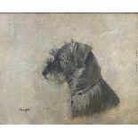 Early 20th century school - 'Jenefer' bust portrait of a terrier, monogrammed AW, oil on canvas laid