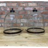 Pair of glass bell jar hall lanterns, chains vacant, H 35cm x D 23cm (2)