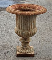 A cast iron Campana shaped garden urn with lobed bowl and flared egg and dart rim, H 46cm x W 38cm