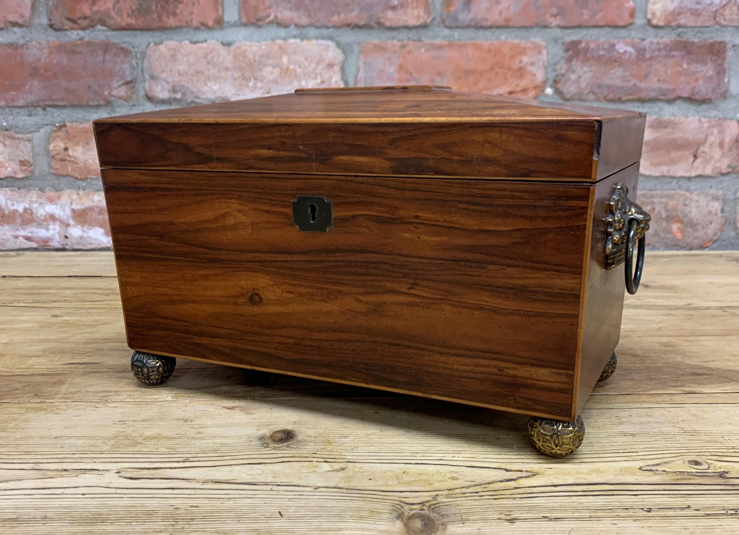 Regency rosewood sarcophagus tea caddy atop four brass ball feet, having ornate lion head handled