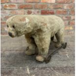 Antique Steiff teddy bear on wheels with original growler, H 45cm x L 60cm