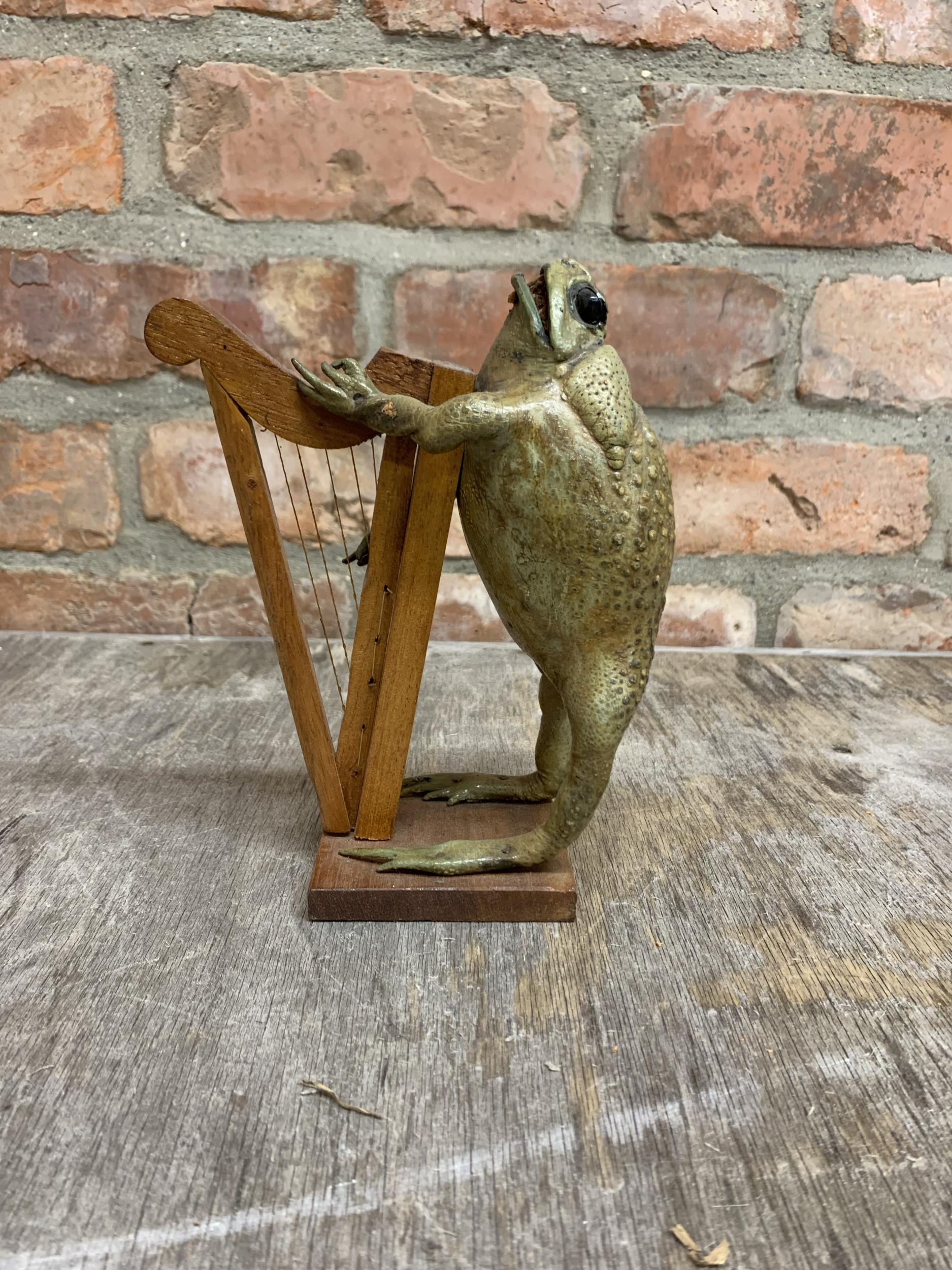 Taxidermy toad playing a harp H 20cm - Image 2 of 3