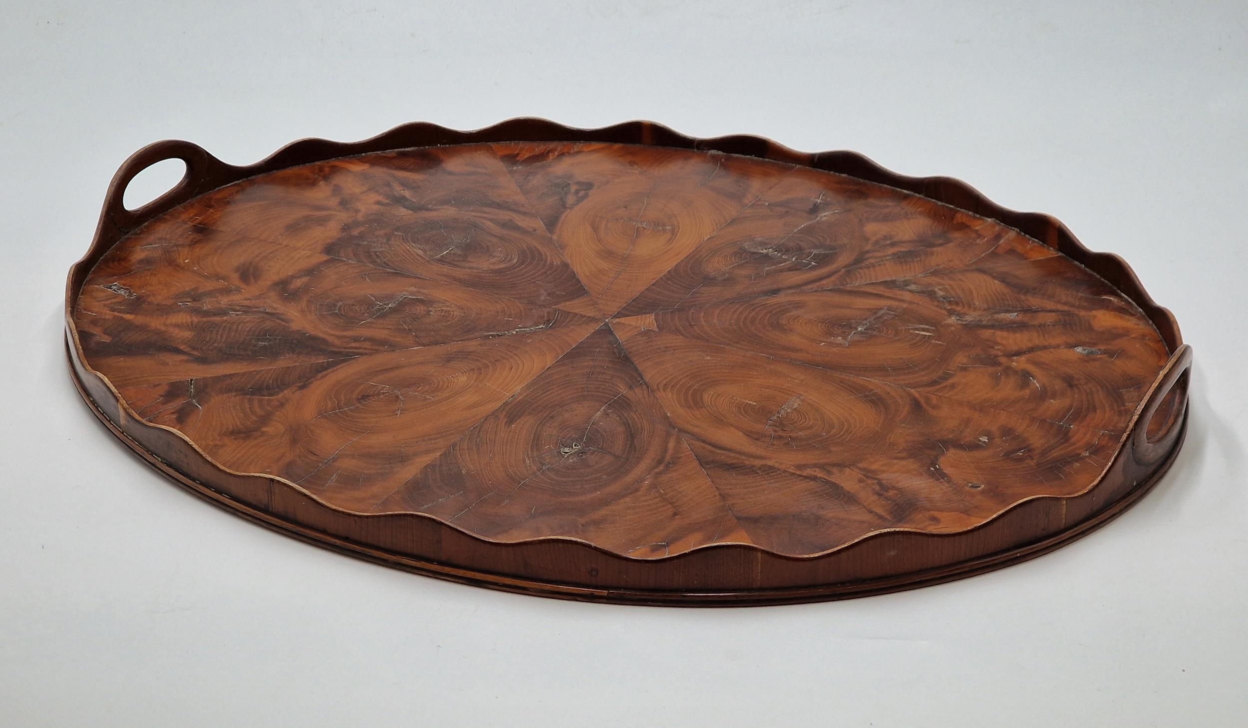 Good quality 19th century oyster veneered laburnum wood oval butlers tray with shaped gallery and - Bild 2 aus 3