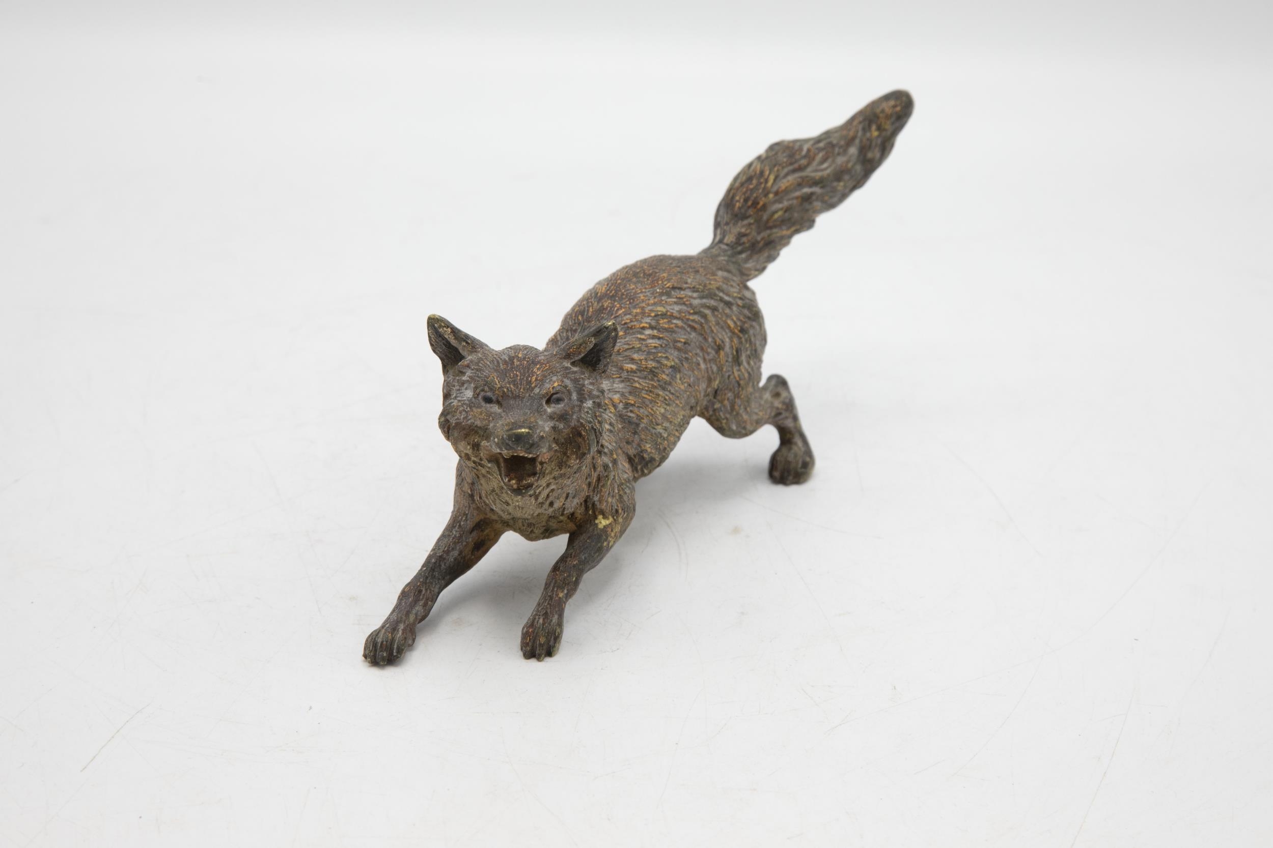 Probably by Bergman - Austrian cold painted bronze snarling fox, 19cm long - Image 2 of 3