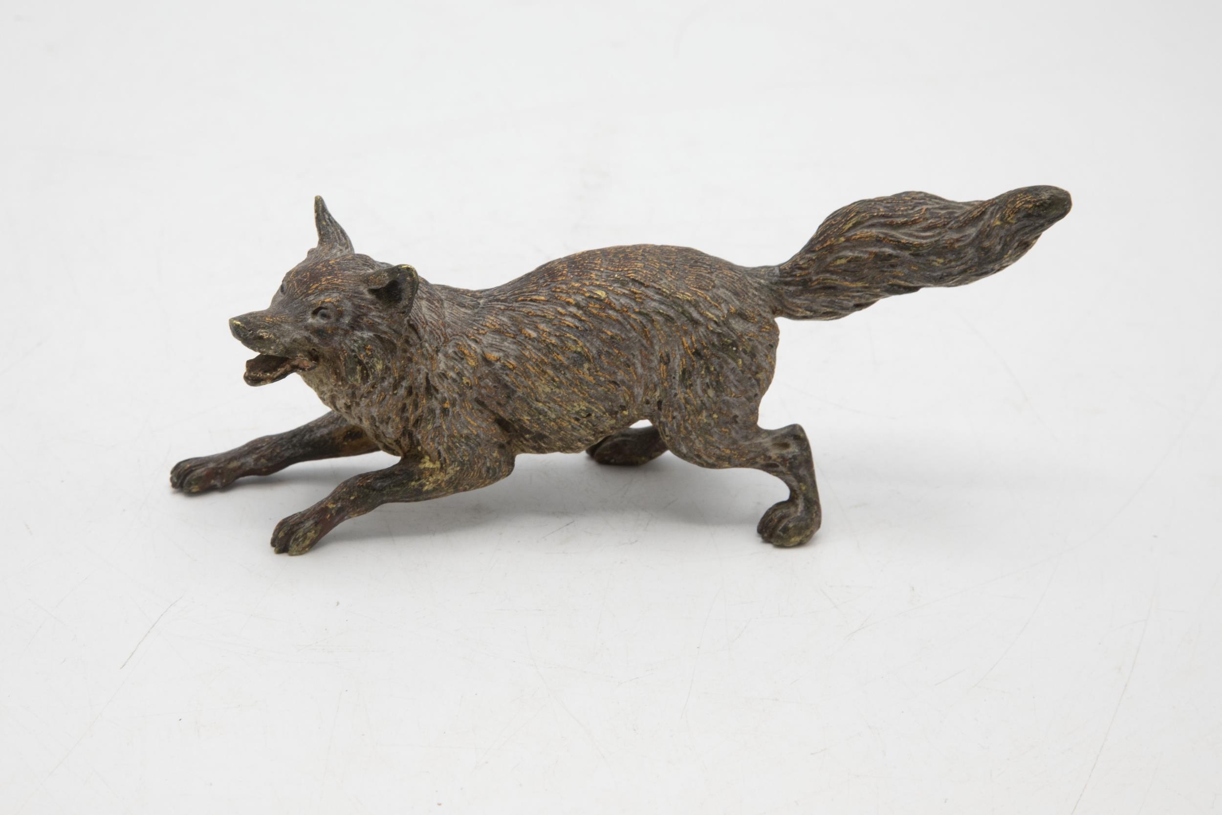 Probably by Bergman - Austrian cold painted bronze snarling fox, 19cm long